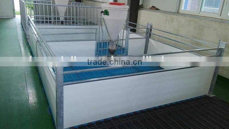 pig raising equipment and its price in