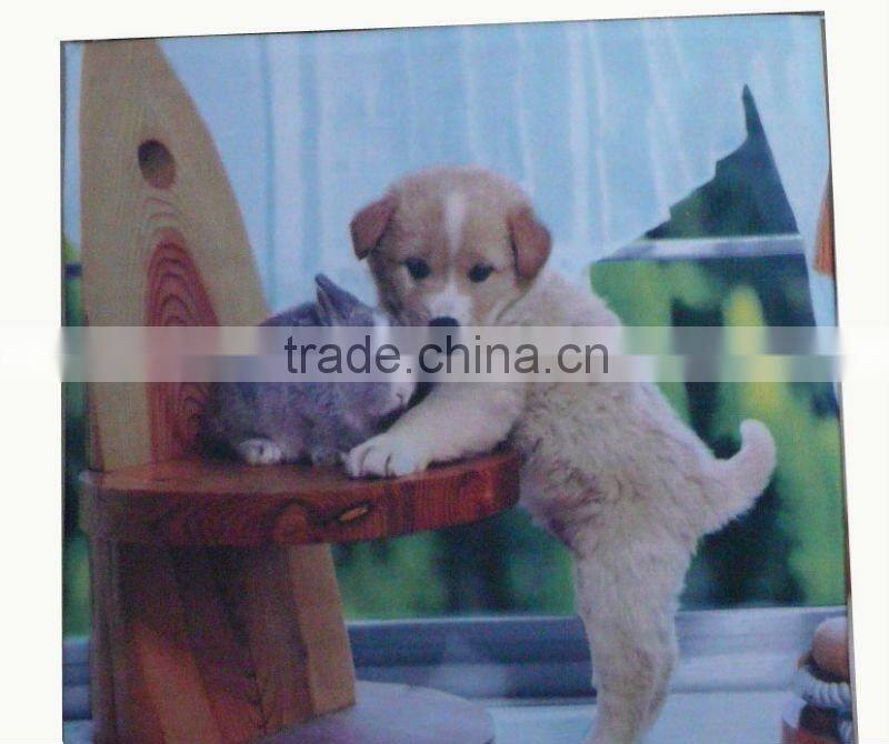 printing cashion & cashion cover