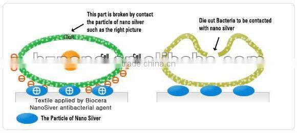 Nano silver antibacterial soap