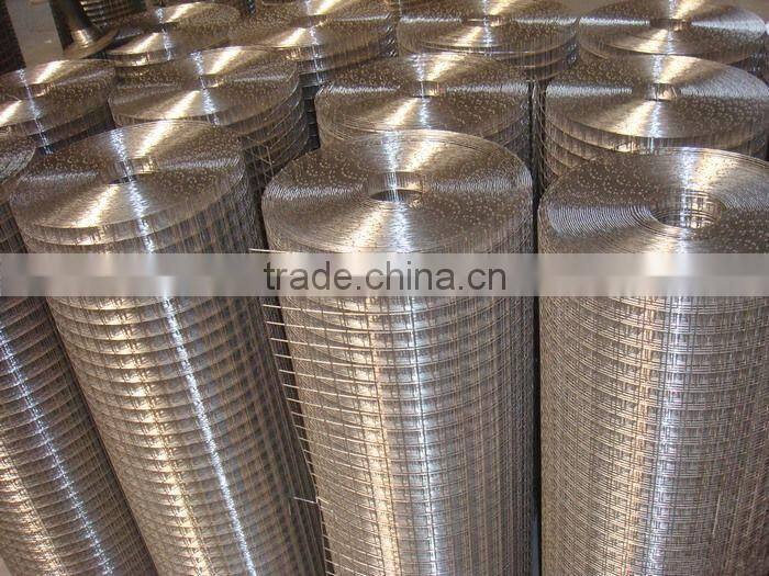 new product Galvanized welded wire mesh/ welded wire mesh fence for sale