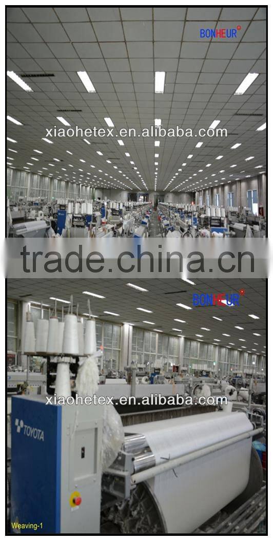 bird eye mesh fabric for sportswear(BHK-2101)