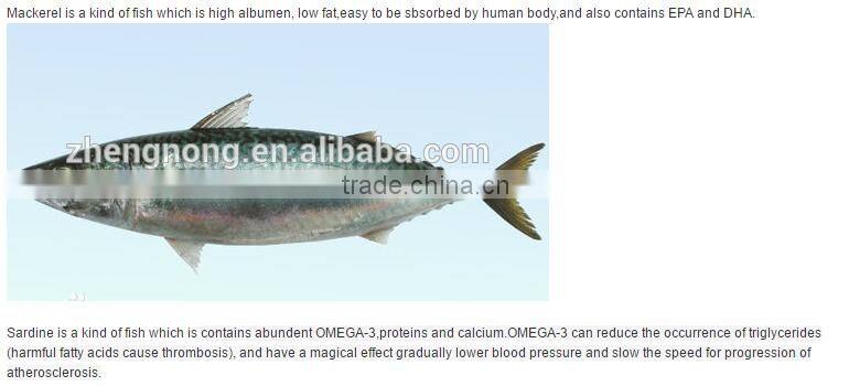 Canned Sardines in Tomato Sauce