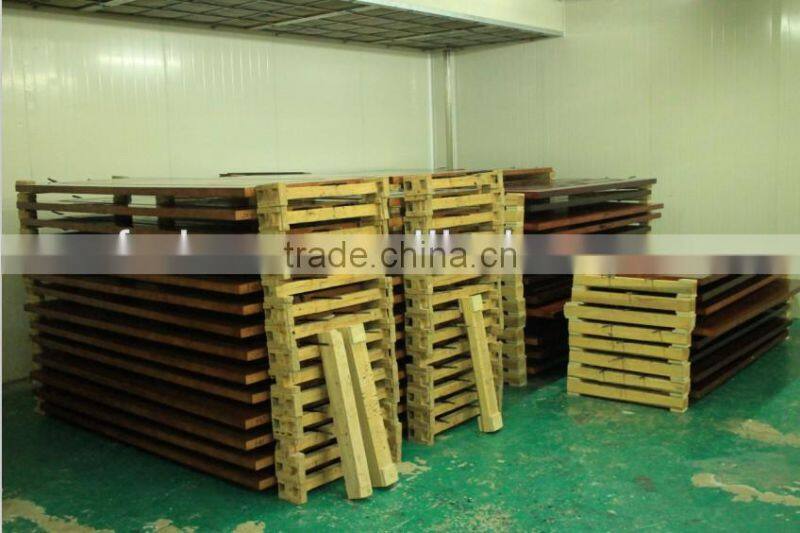 Elengant Toughened double glass sliding door