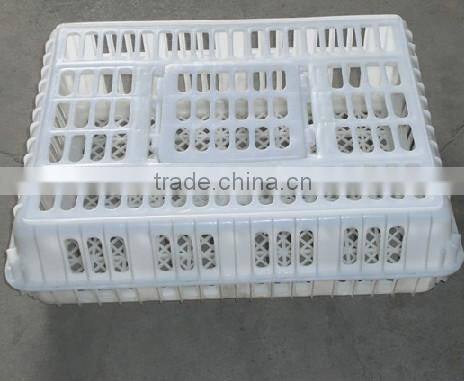 plastic poultry transport crate/chicken transport box lydia chang 0086.15965977837