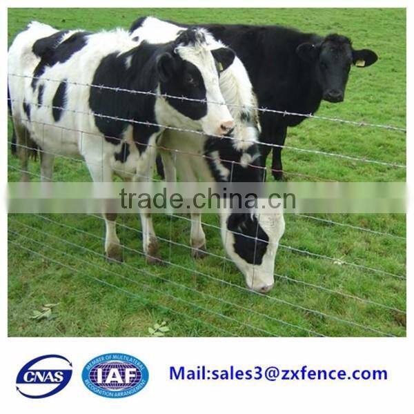 Low price grassland fence,deer fence,cattle fence,sheep fence factory direct