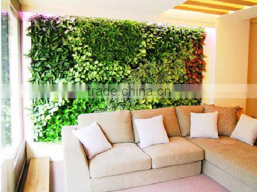 Widely use beautiful garden green wall