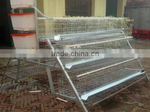 galvanized battery Hen Houses for 96 /120 chicken