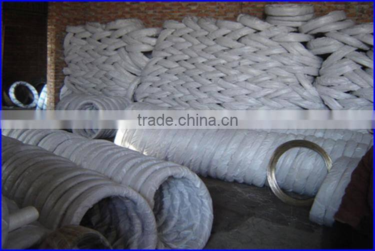 Electric or hot dipped galvanized wire with best price