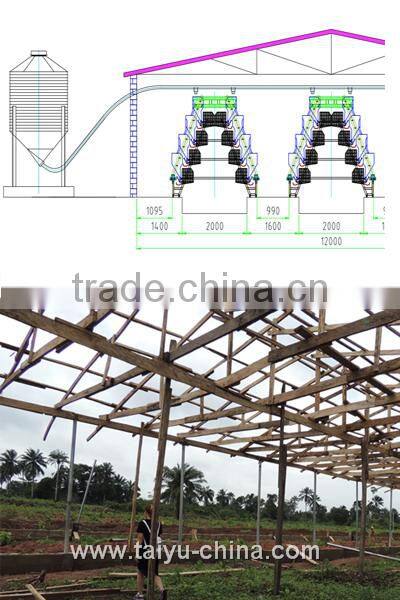 Trade assurance NO.1 Stong steel feed trough 3 tiers a type layer poultry shed