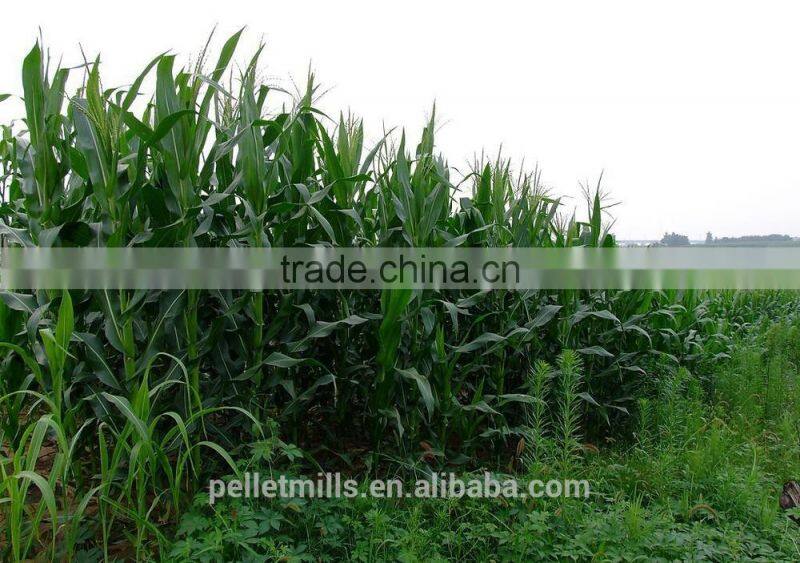 1TPH high efficiency straw chopping machine with cheap price for sale