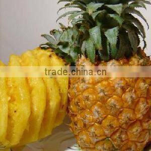 Good quality Advanced Pineapple Peeling Machine with factory price+0086-15986647218