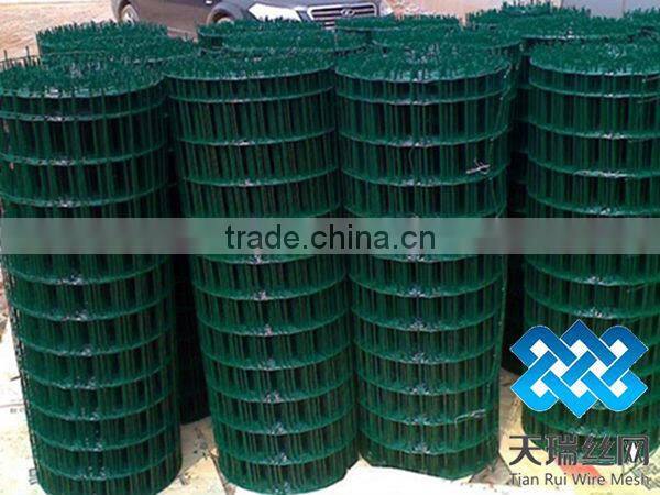 High quality holland wire mesh with low price