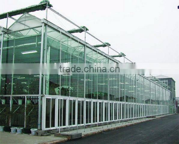 Beautiful and practical modern glass greenhouse