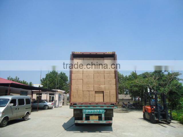 New arrival custom adjustable sea kayak paddle