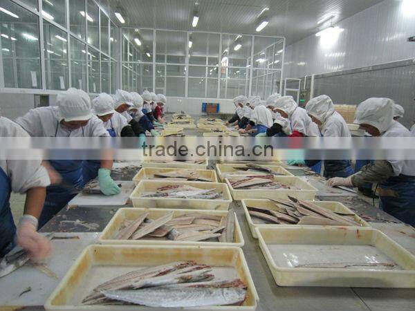 A grade IQF spanish mackerel fillet