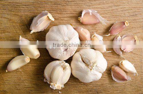 The Best Vegetable Product from China Fresh Garlic