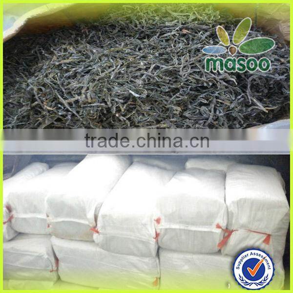 Sun dried cut kelp seaweed , new crop laminaria for sale