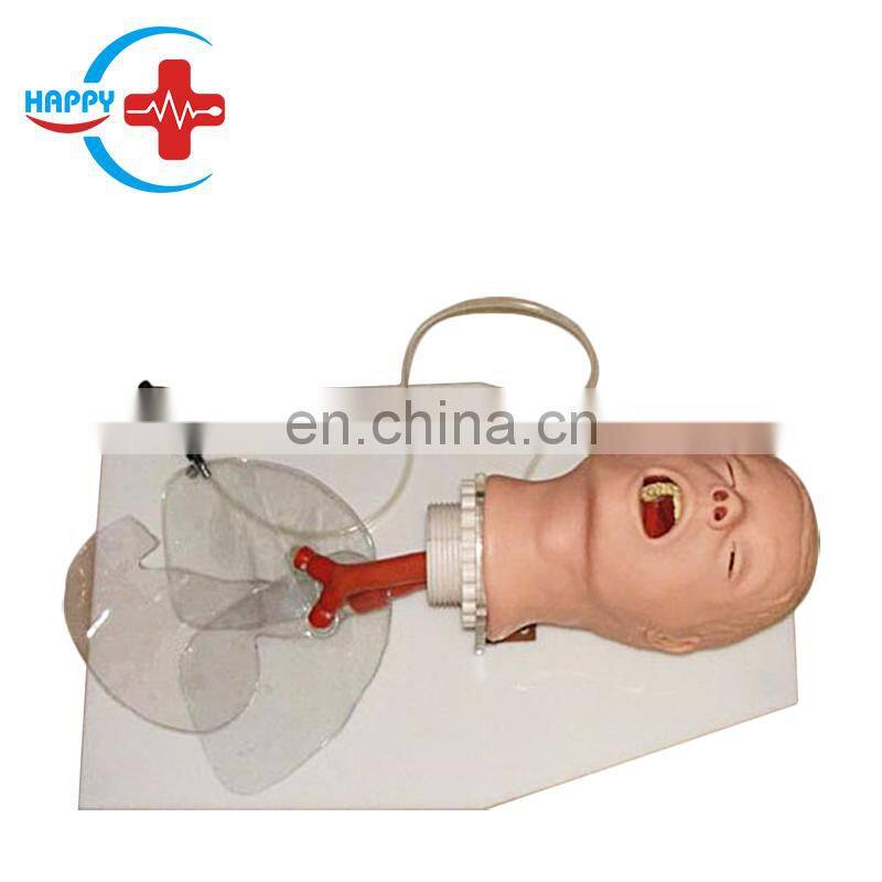 HC-S033 Classic Airway Management model and tracheal intubation manikin with best price