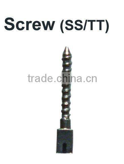 supply SS dental screw (hot sell)