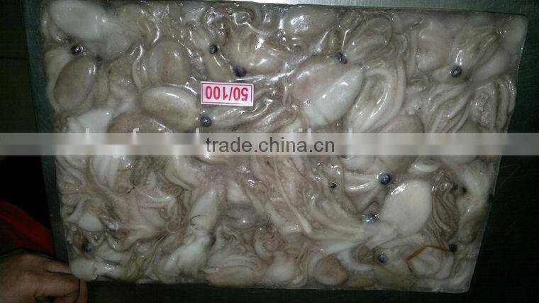 Baby Octopus Fish Clean