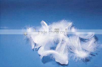 Duck Feather Material and Washed Pattern washed white duck down feather