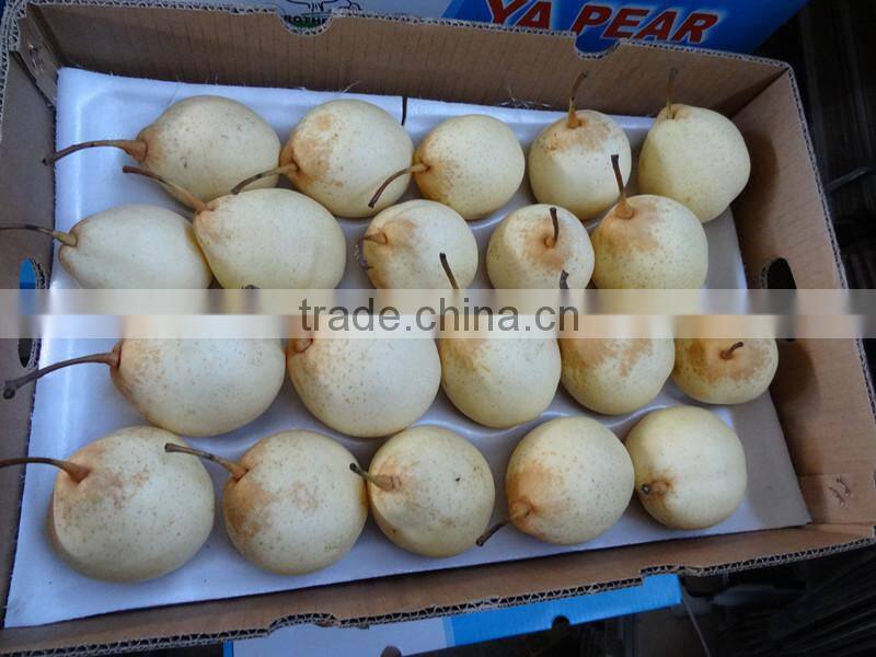 ya pear crown pear from fty