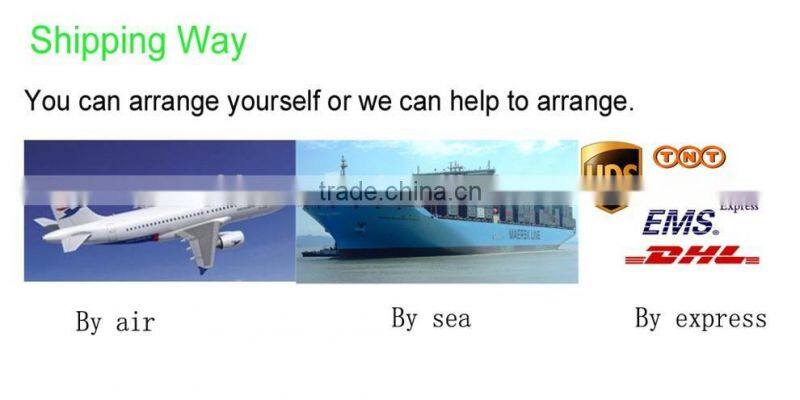 Custom Inflatable Swimming Pool Table