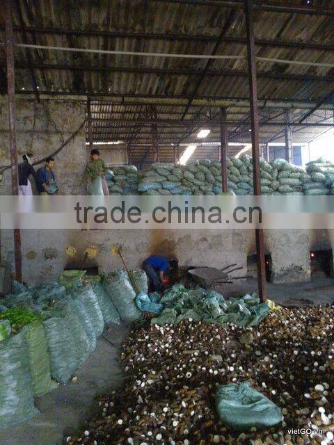 Cheap Price Cassava Chip 03