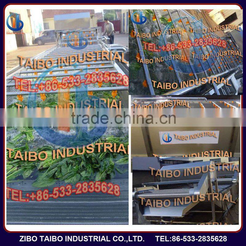 Automatic fruits and vegetables washing machine for washing apples/ berry cleaning