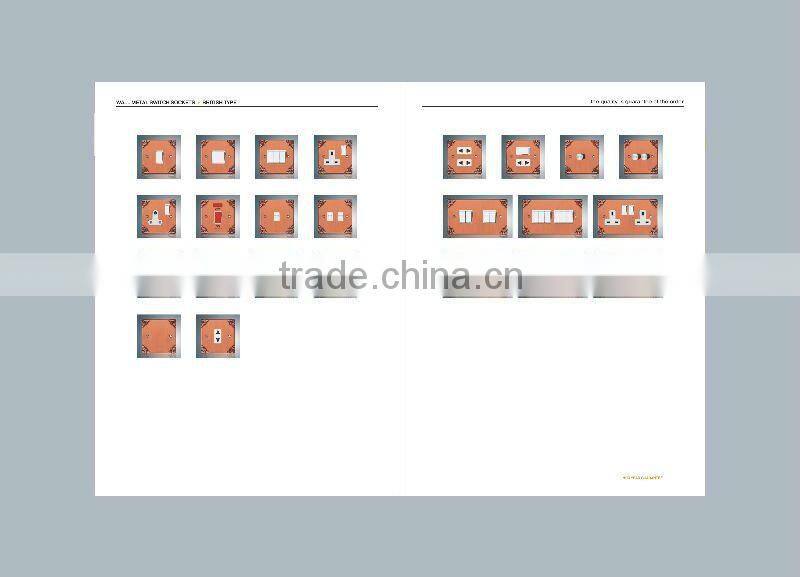 FASHION BRITISH STANDARD types of change over switch