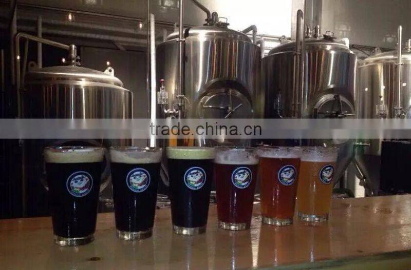 China time-honoured brand Shunlong small beer brewery equipment for sale
