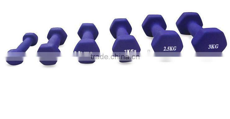 Exercise Equipment Cast Iron Neoprene Dumbbell for Women