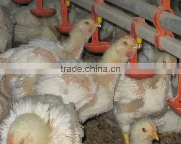 chicken Poultry Farm Equipment for Sale