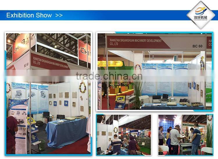 Top level OEM eggs plate thermoforming machine