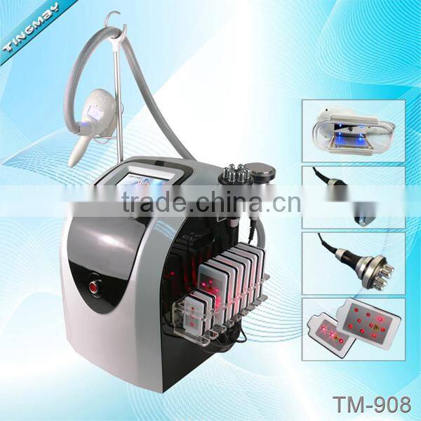 Professional body fat melting machine vacuum cryolipolysis machine price TM-908