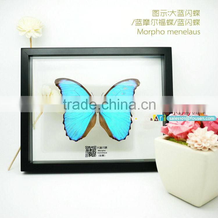 FOUSEN(040) Nature& Art natual home decoration supplier glass butterfly wall decorations
