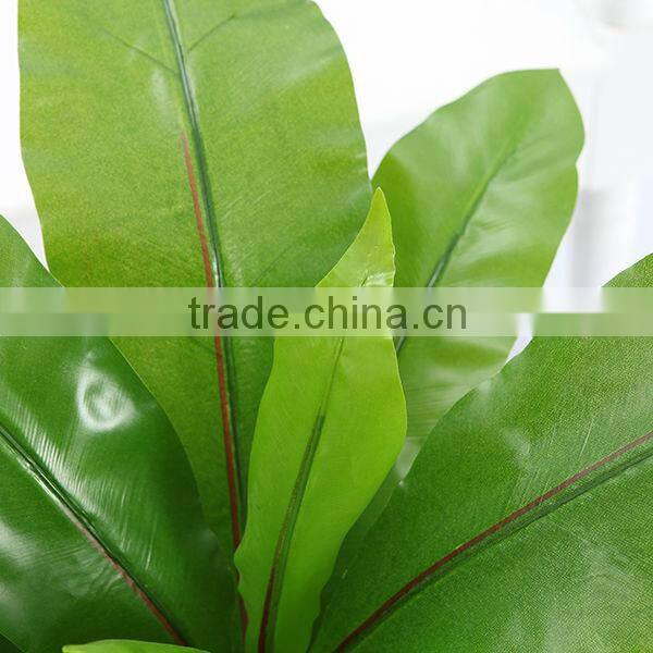 Artificial Birds nest fern