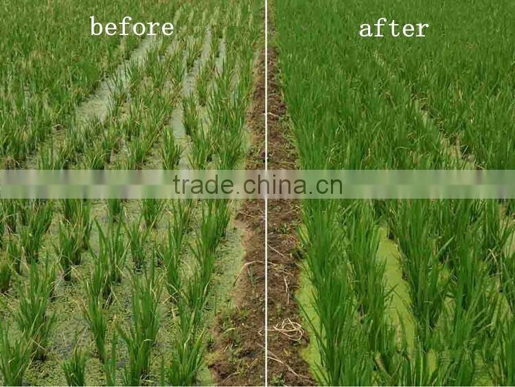 Amino acid npk fertilizer 12-1-1%