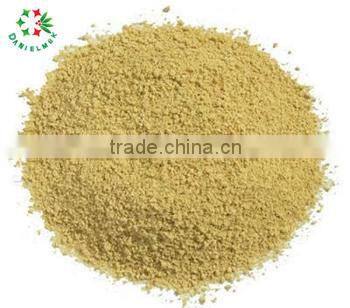 Pure Dried Ginger Powder