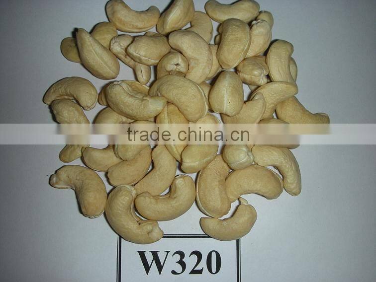 Dried Style Vietnam Cashew Nuts/ Cashew Kernels ww240/ ww320/ ws/ lp