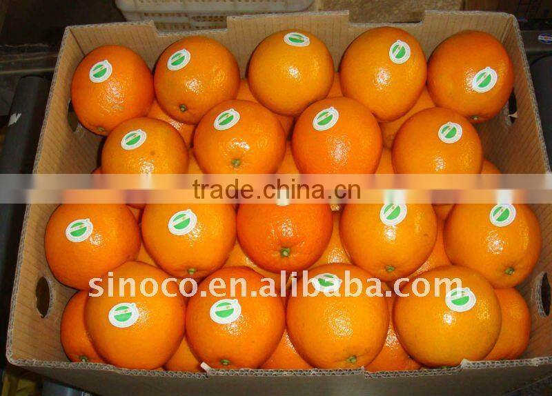 Newhall Navel Orange