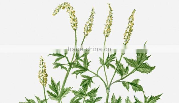 Dried mallow BYN Mix Power Capsule For Women Wholesale Supplements Black Cohosh