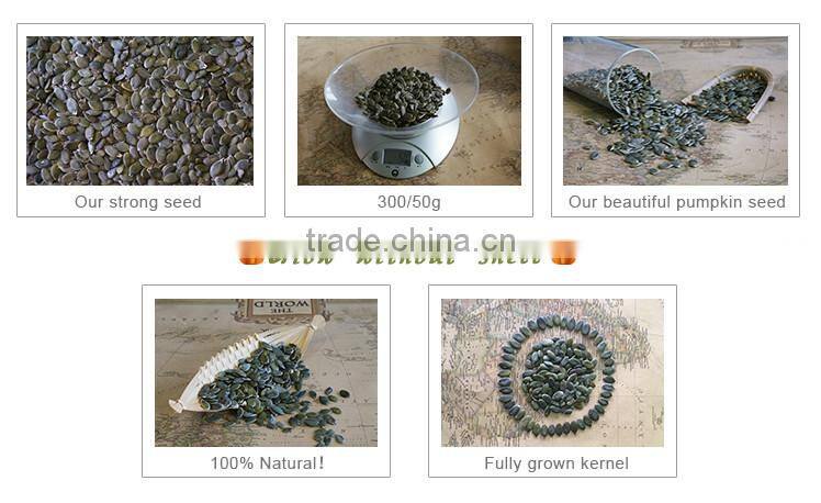 EU Standard GWS pumpkin seeds for sale