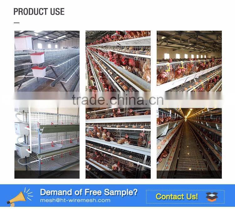 30 Years' factory supply automatic chicken broiler cages