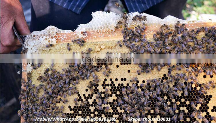 Competitive Price Fresh Organic Royal Jelly 10-hda 1.8%