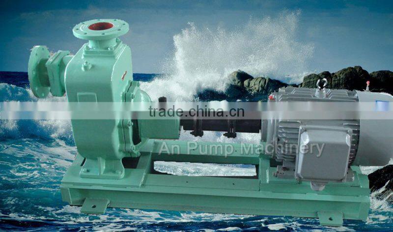 Centrifugal Electric Self Priming Sewage Water Pump