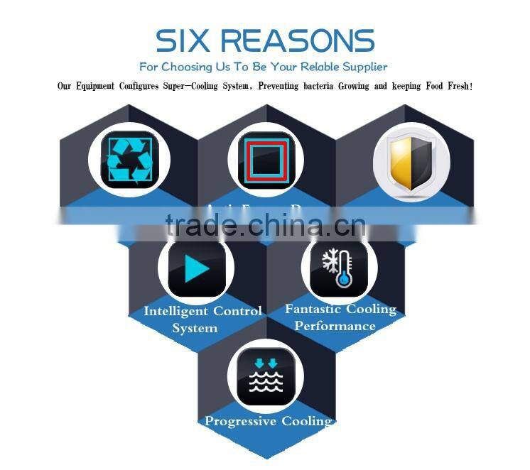 Quick Freezing Equipment (Vegetable Freezer Machine)