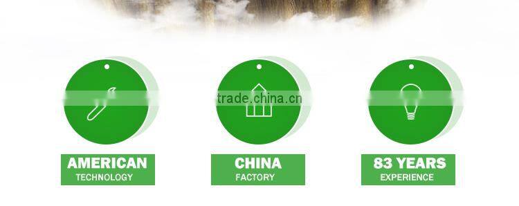 Tunnel plastic Greenhouse for agriculture low cost