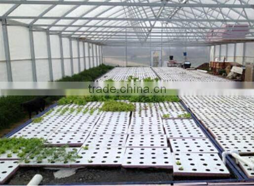 Hot sale single-span plastic grow tent/green house for agriculture