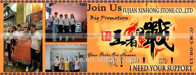 natural decotative semicassis inornata seashell for sale